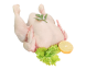 Fresh Full Chicken