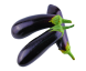 Black Vegan Brinjal