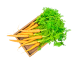 Vegan Red Carrot